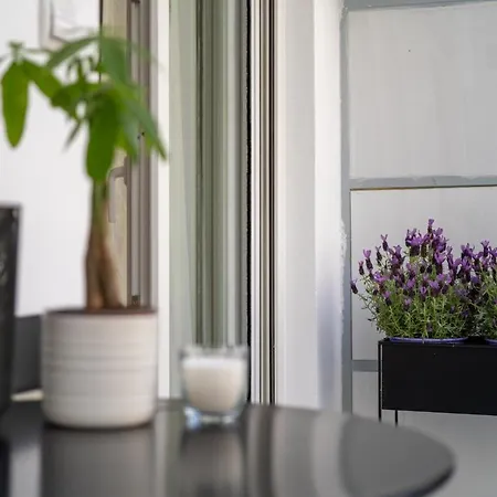 Adela's 1 Bedroom & Living *
